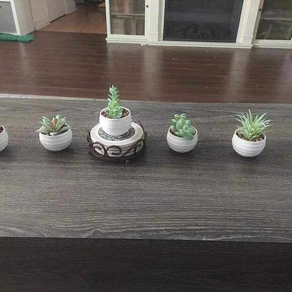 NEW Set of 6 Succulents Plants Artificial in Pots Small Fake Plants. - Picture 9 of 9